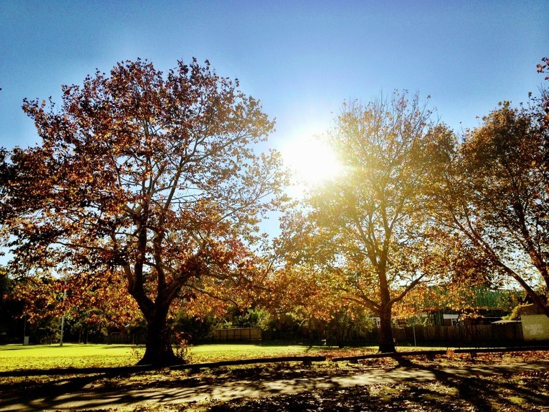 7 Palm Ave, North Manly NSW 2100