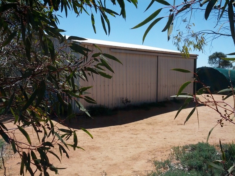 61 Swan Street, Chaffey SA 5341