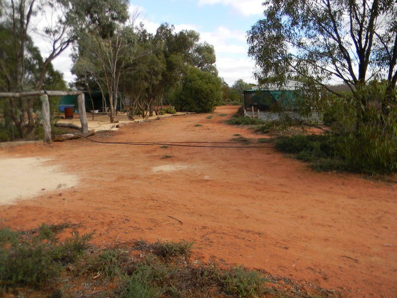 61 Swan Street, Chaffey SA 5341