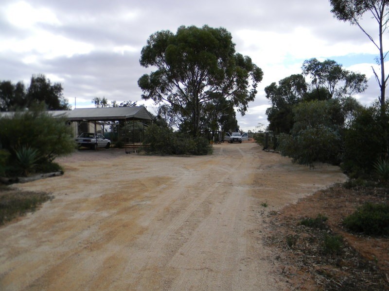 61 Swan Street, Chaffey SA 5341