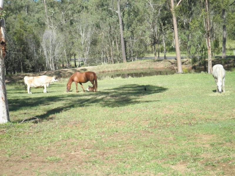 24 Laurette Drive, Glenore Grove QLD 4342