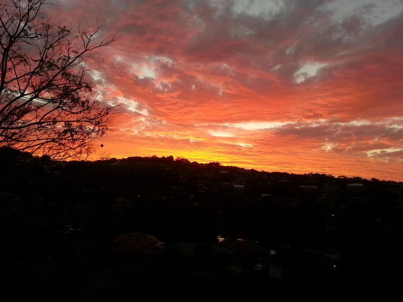 26  Donegal Court, Banora Point NSW 2486