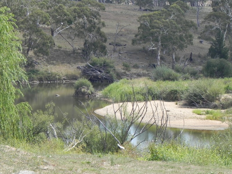 The Willows Delegate Road, Bombala NSW 2632