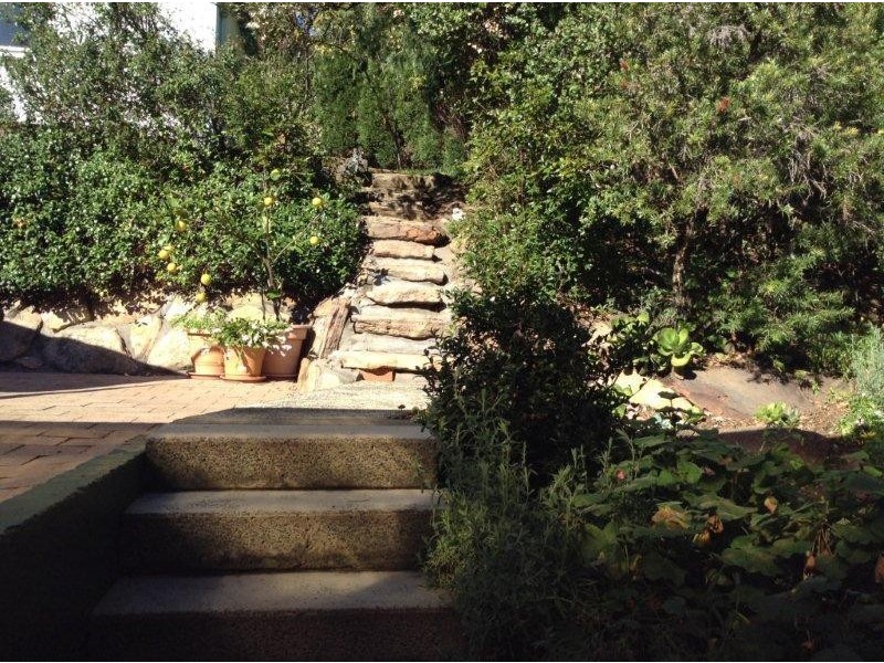 38 Carson Street, Dundas Valley NSW 2117