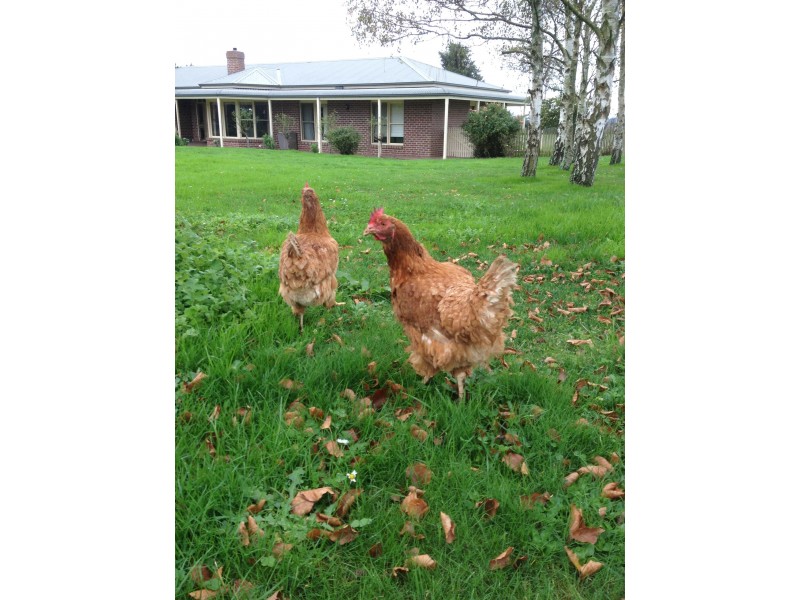 942 Hazeldean Road, Gainsborough VIC 3822