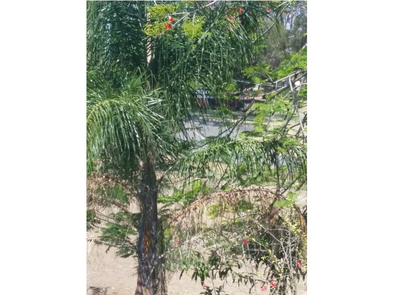23 Gerlee Street, Tennyson QLD 4105