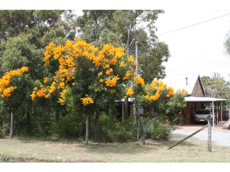 31 Oxford Street, Gledhow WA 6330