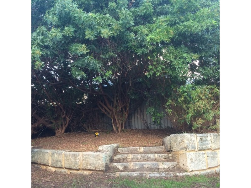 14 Hartland Place, Yanchep WA 6035