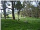 3208 Donnybrook-Boyup Brook Road, Noggerup WA 6225