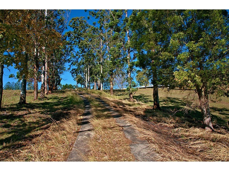 19 Ettrick Road, Kyogle NSW 2474