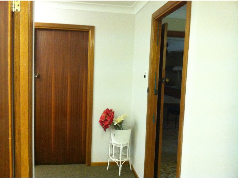 19 Ettrick Road, Kyogle NSW 2474