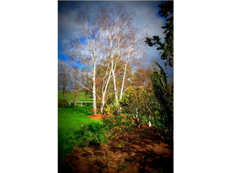 550 Copelands Road, Lillico VIC 3820