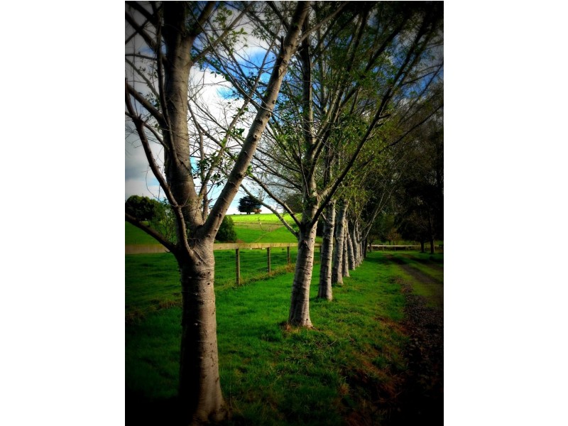 550 Copelands Road, Lillico VIC 3820