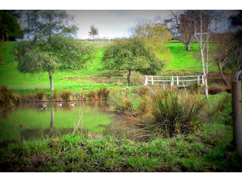 550 Copelands Road, Lillico VIC 3820