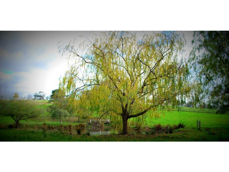 550 Copelands Road, Lillico VIC 3820