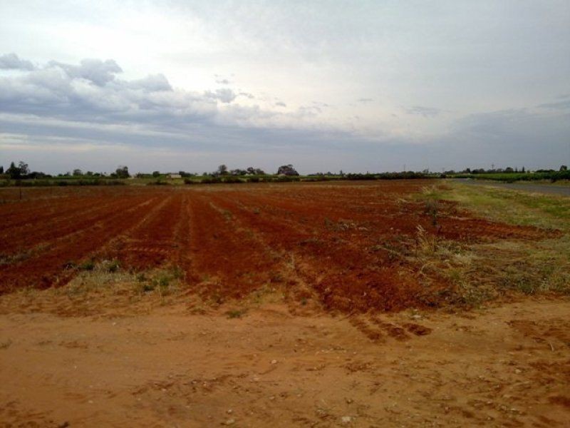 Lot 244 Spiller Road, Loveday SA 5345