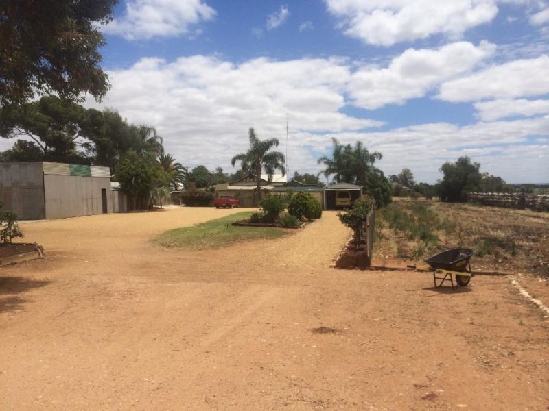 Lot 244 Spiller Road, Loveday SA 5345