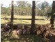 358 Dinjerra Road, Glenugie NSW 2460