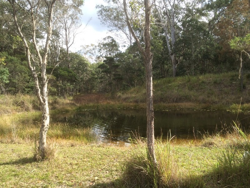 358 Dinjerra Road, Glenugie NSW 2460