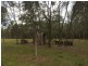 358 Dinjerra Road, Glenugie NSW 2460