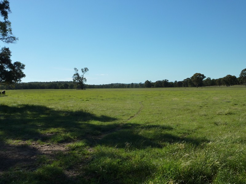 Purlewaugh NSW 2357