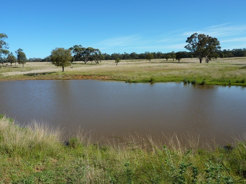 Purlewaugh NSW 2357