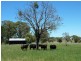 Purlewaugh NSW 2357