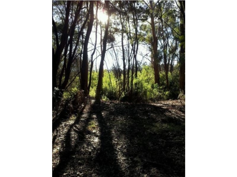 257 Karri Hill Road, Northcliffe WA 6262