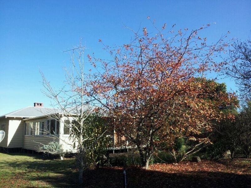 257 Karri Hill Road, Northcliffe WA 6262