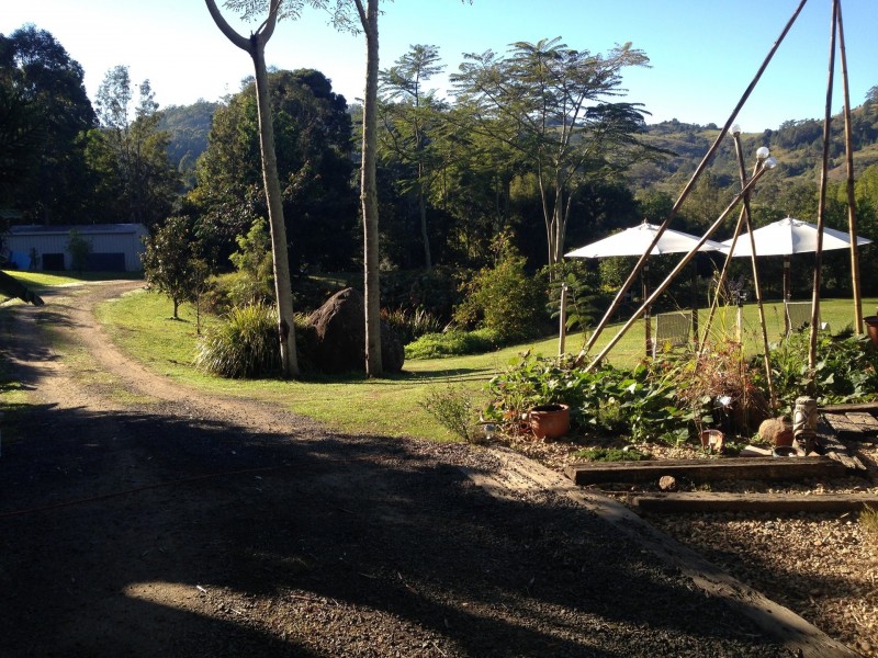 453 Tuntable Creek Road, The Channon NSW 2480