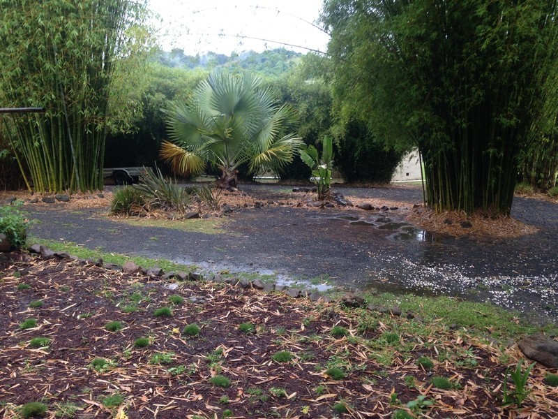 453 Tuntable Creek Road, The Channon NSW 2480