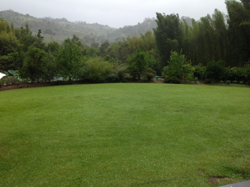 453 Tuntable Creek Road, The Channon NSW 2480