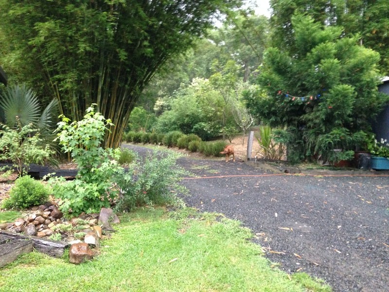 453 Tuntable Creek Road, The Channon NSW 2480