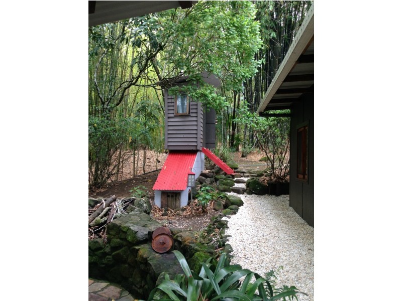 453 Tuntable Creek Road, The Channon NSW 2480