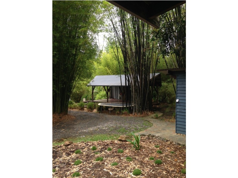 453 Tuntable Creek Road, The Channon NSW 2480