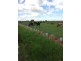 Lot 4 Mill Road, Milang SA 5256
