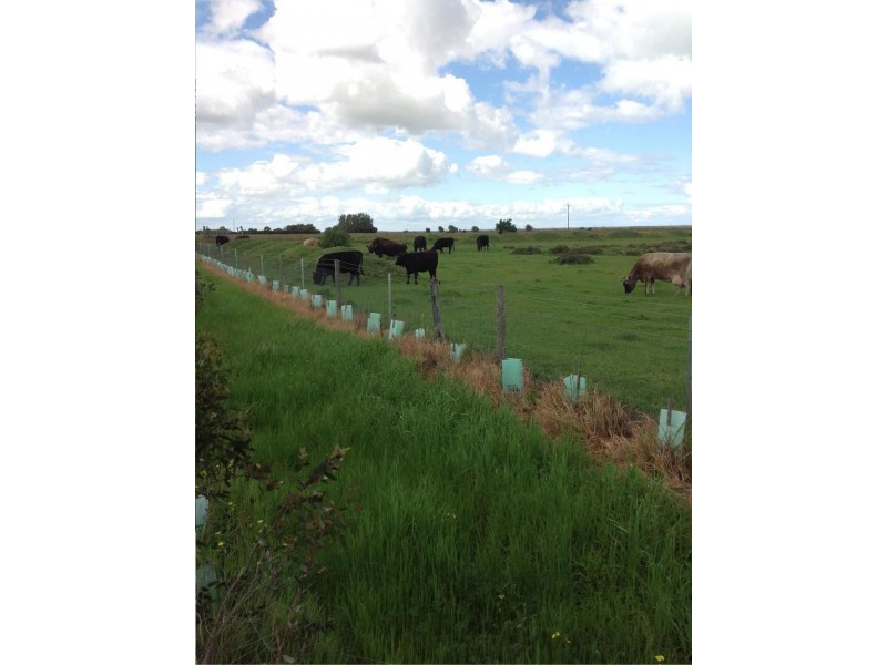 Lot 4 Mill Road, Milang SA 5256