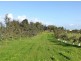 Lot 4 Mill Road, Milang SA 5256
