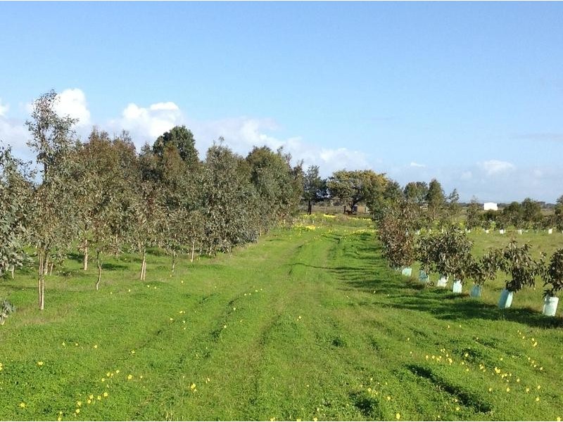 Lot 4 Mill Road, Milang SA 5256