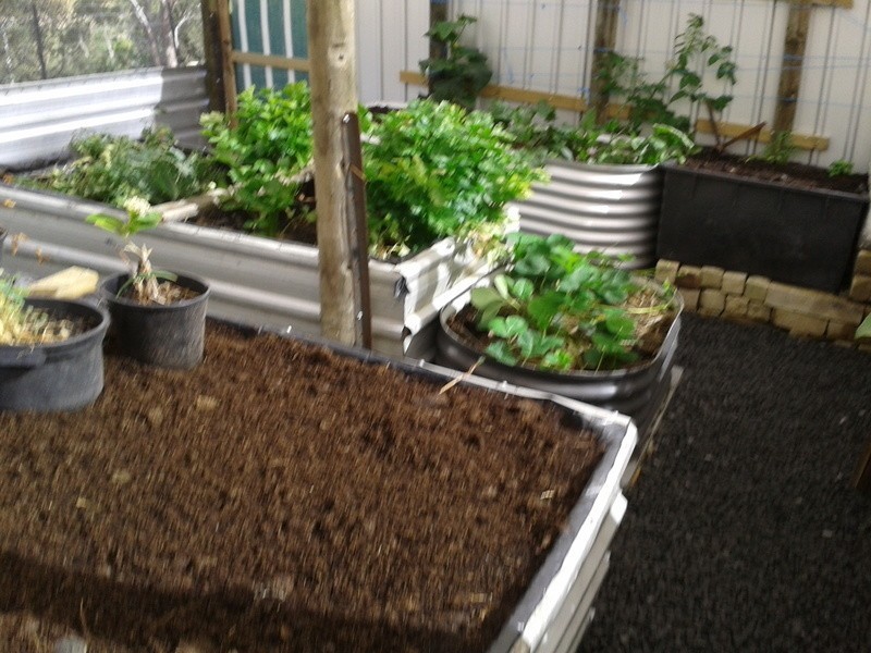 52  Millvale Road, Dromedary TAS 7030