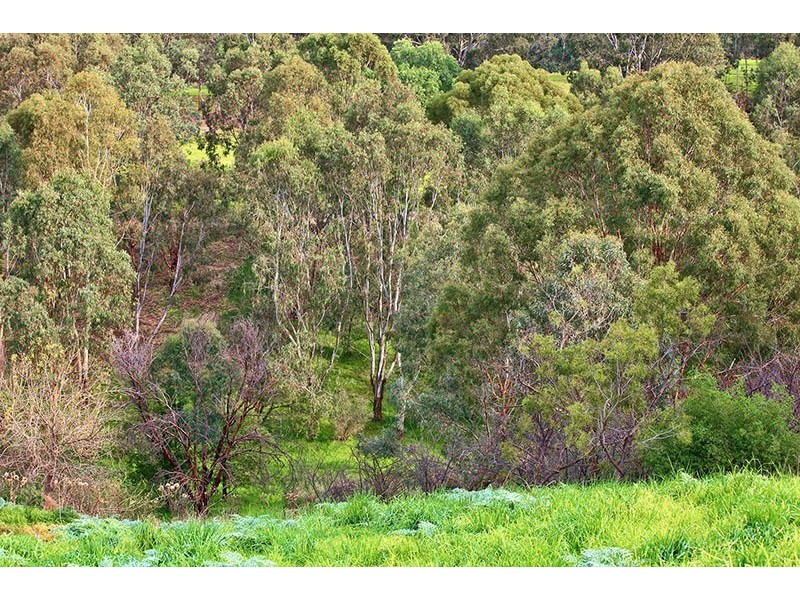 27  Riverside Avenue, Keilor VIC 3036