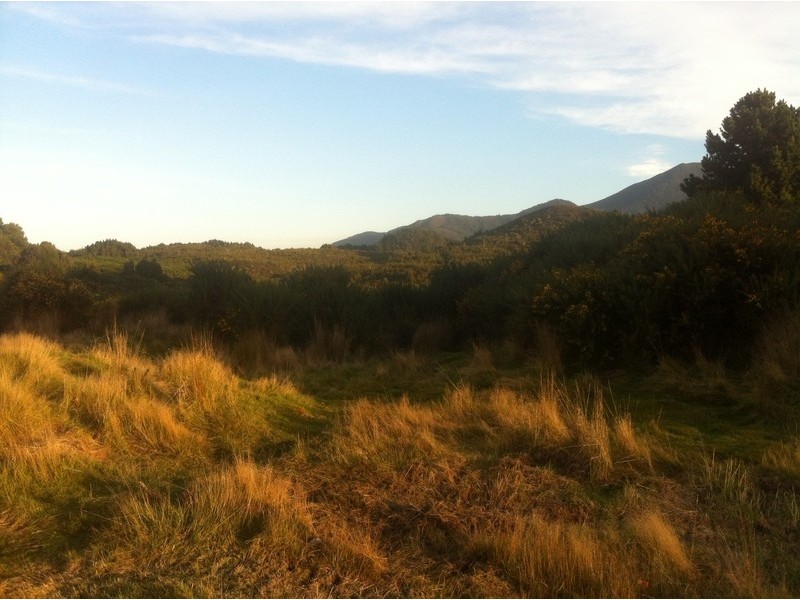 lot 3 and 4 Counsel st, Zeehan TAS 7469