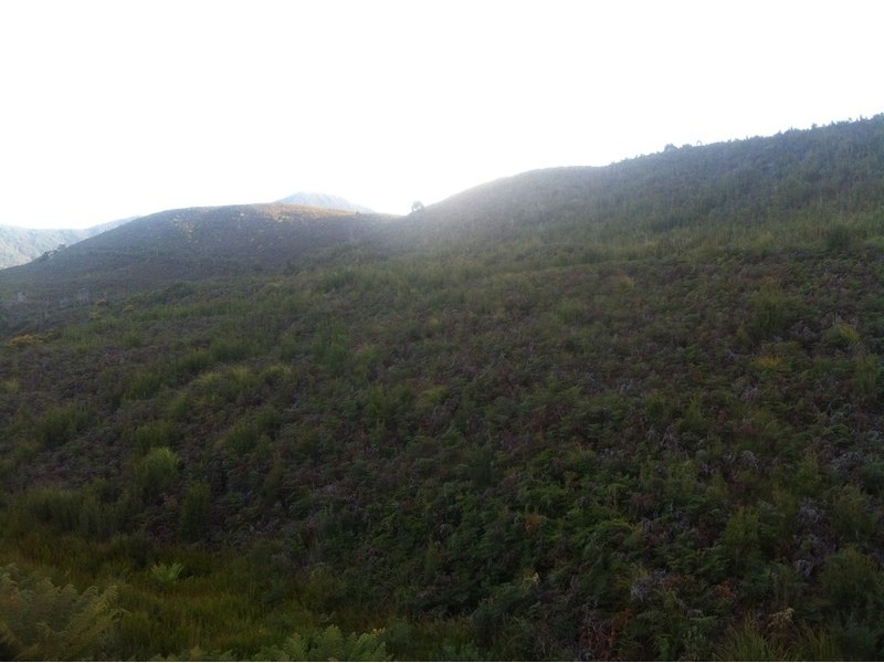 lot 3 and 4 Counsel st, Zeehan TAS 7469