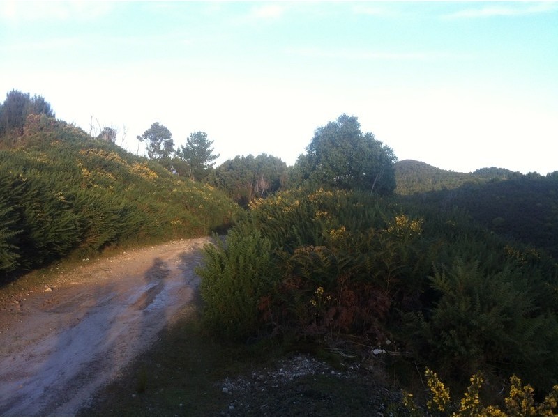 lot 3 and 4 Counsel st, Zeehan TAS 7469