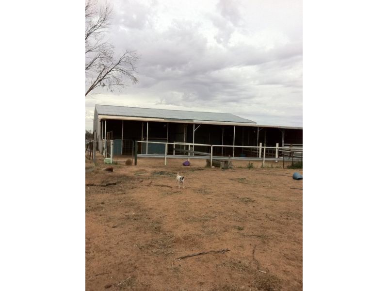 109 North East Road, Mukinbudin WA 6479