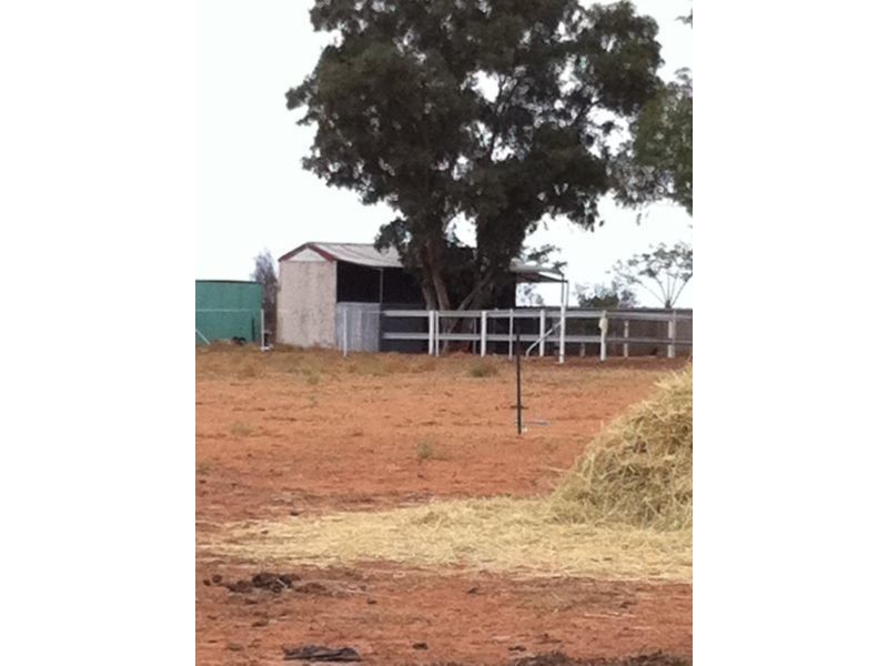 109 North East Road, Mukinbudin WA 6479