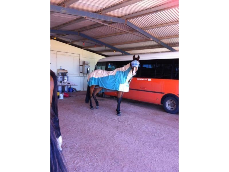 109 North East Road, Mukinbudin WA 6479