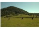 181 Willetts Road, Bauple QLD 4650