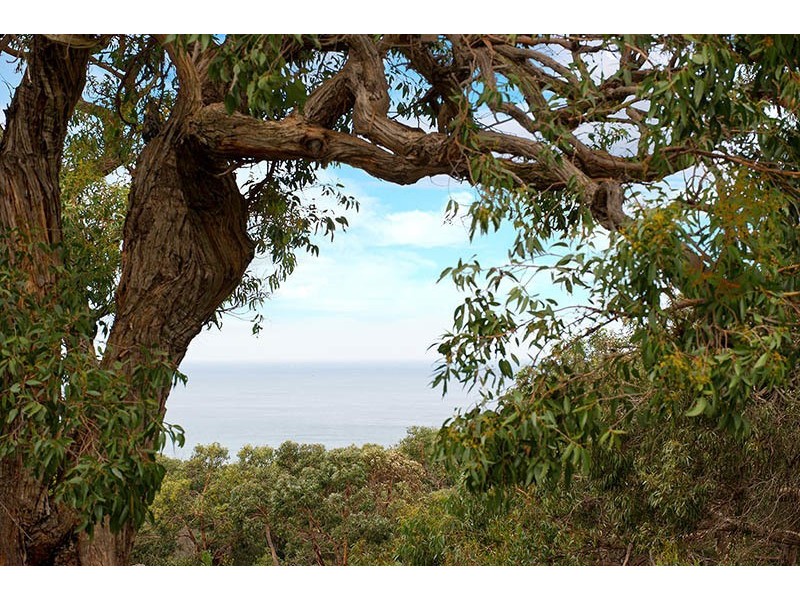 130 Gilbert Street North, Aireys Inlet VIC 3231