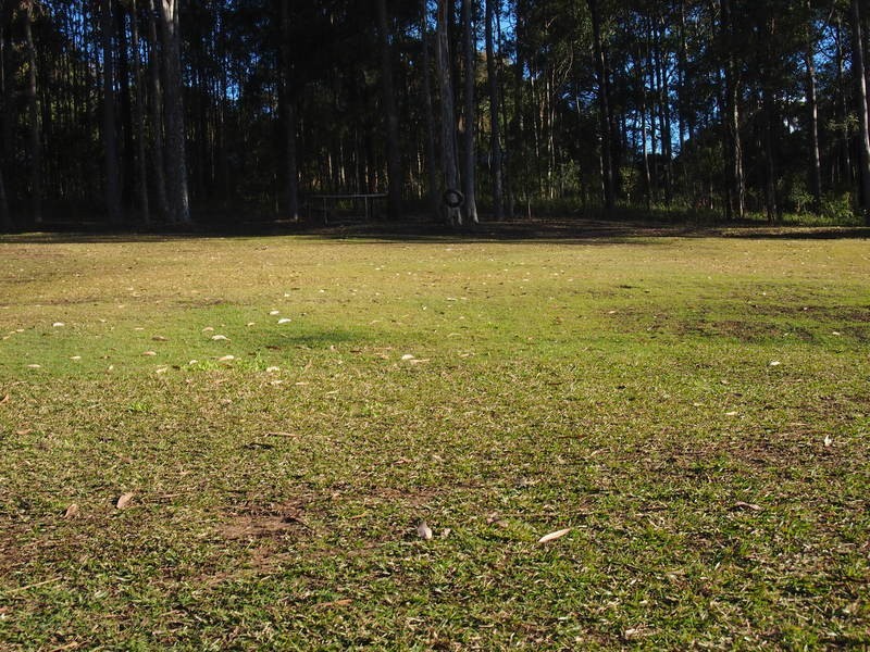 136 Hansens Road, Tumbi Umbi NSW 2261